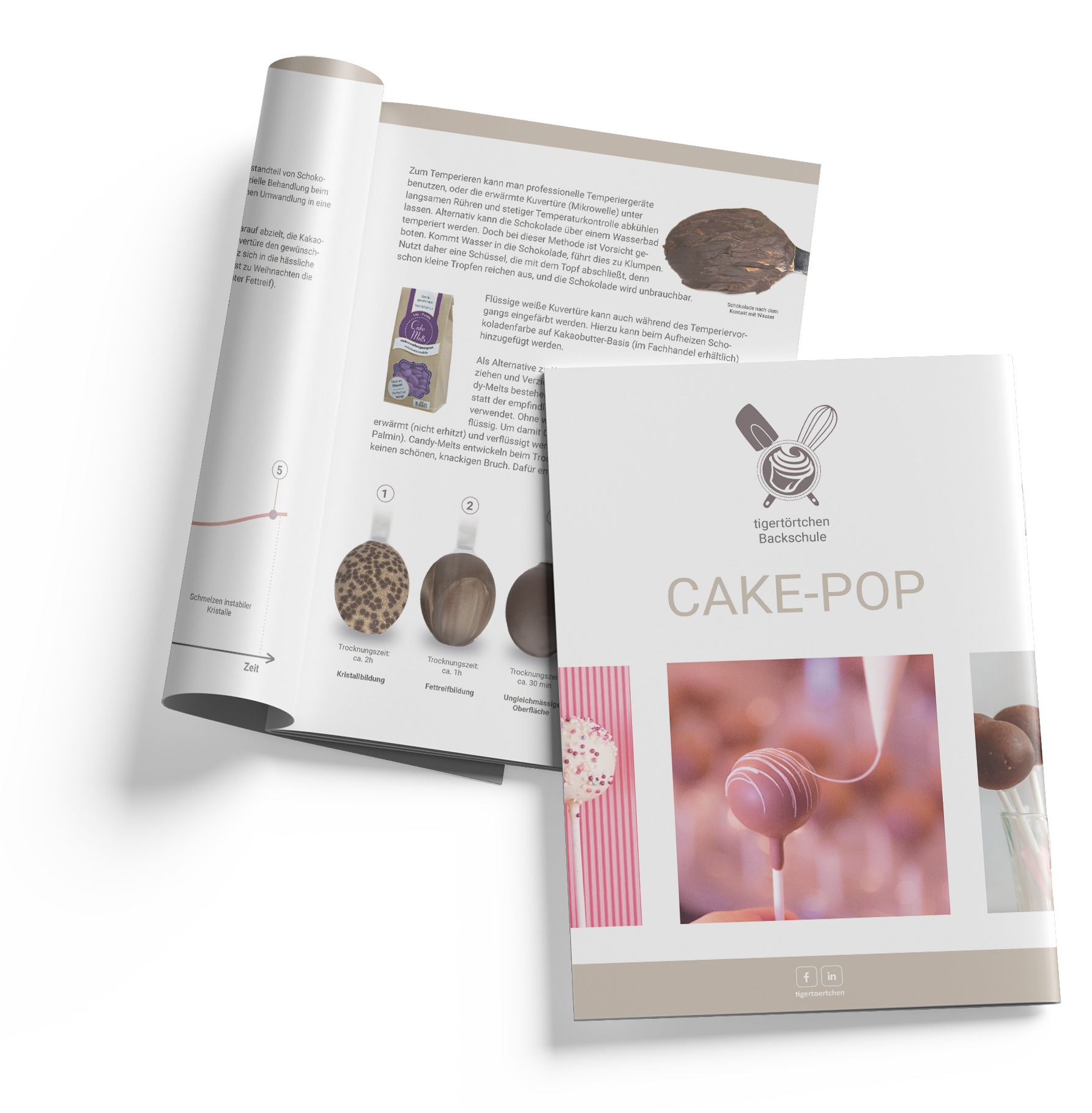 Cake-Pop_Backkurs-Backheft Cake-Pop Backkurs Backschule Berlin